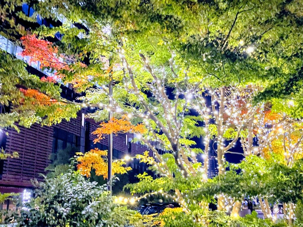 東京ミッドタウン「光の散歩道」