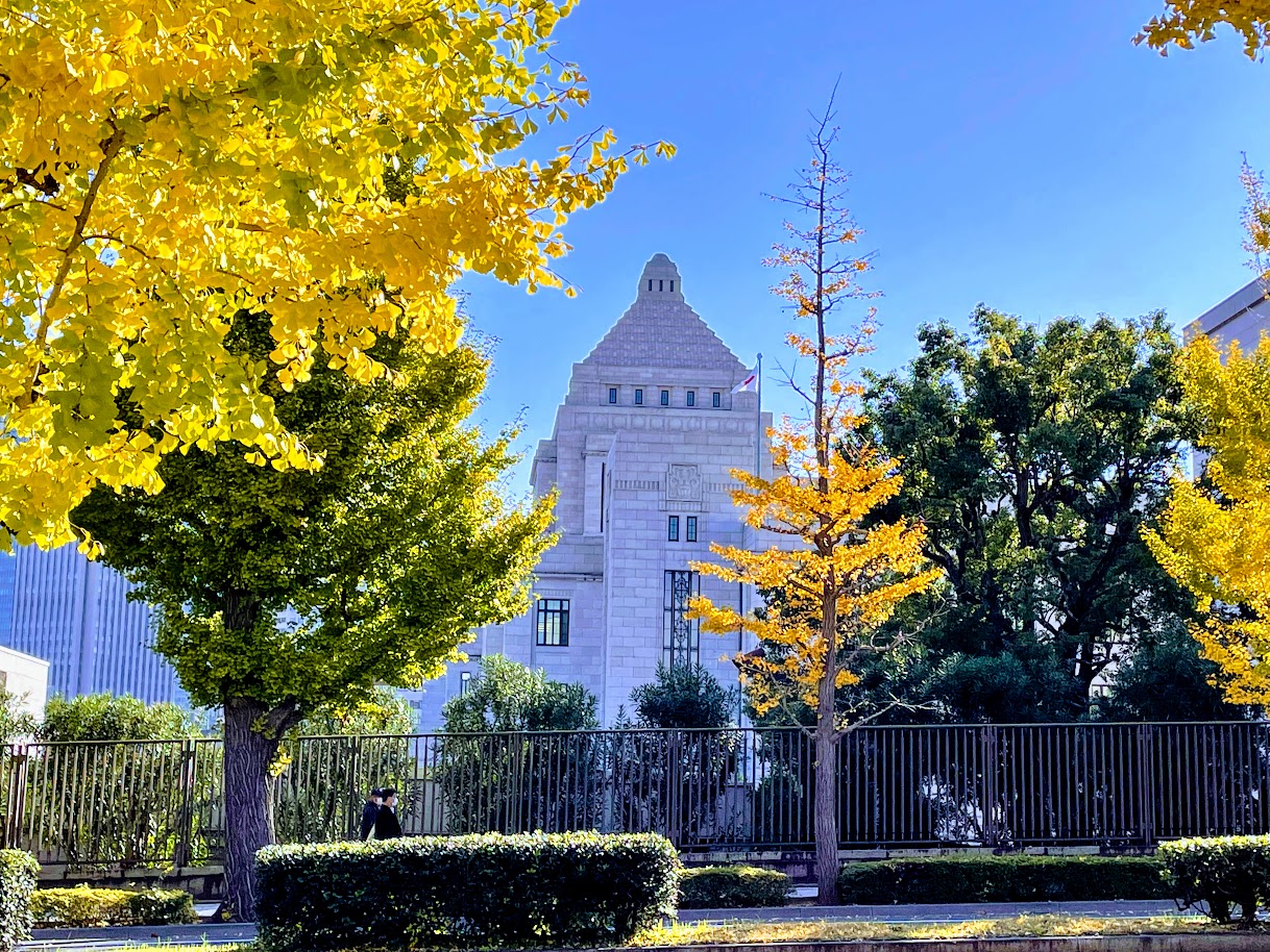 国会議事堂の銀杏並木