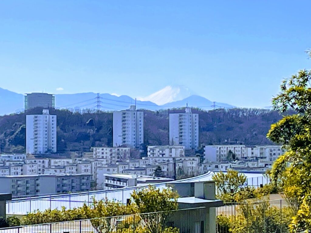 百草園から眺める富士山