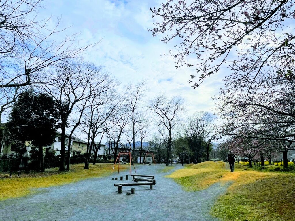 小田野中央公園