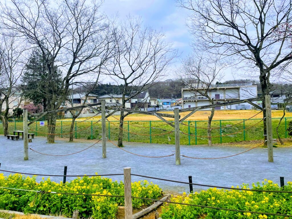 小田野中央公園 河津桜の名所は遊具も充実！子どもと楽しめるお花見 