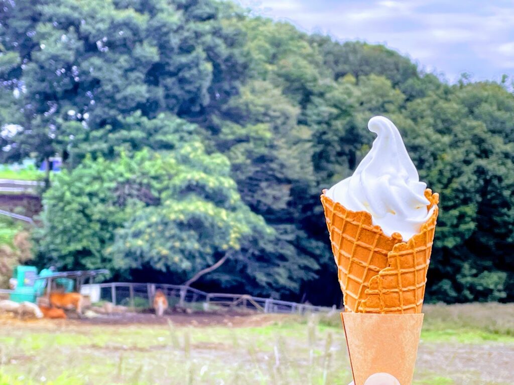 磯沼ミルクファームのソフトクリーム