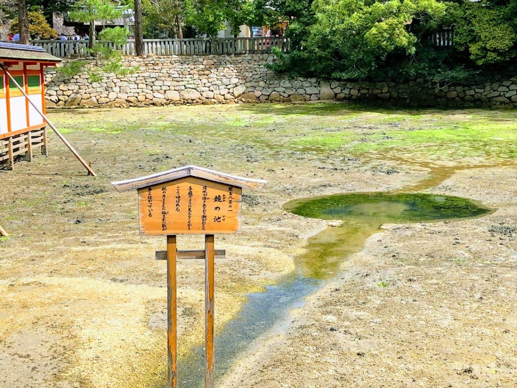 厳島神社 鏡の池