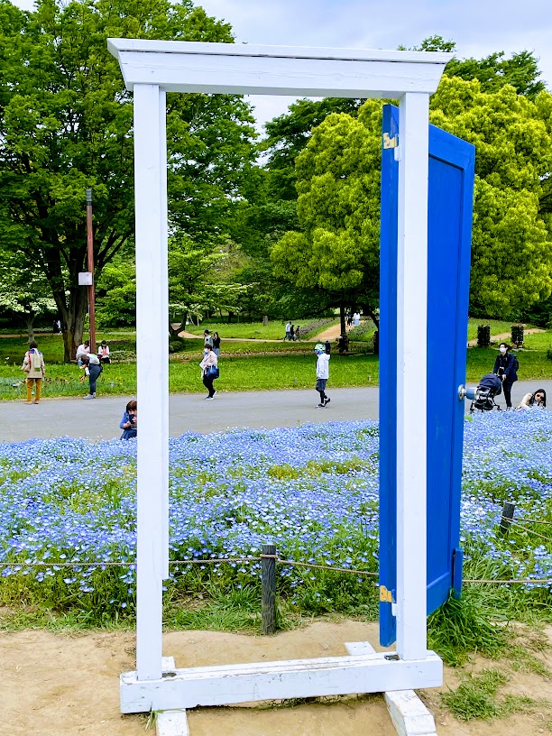 昭和記念公園 どこでもドア